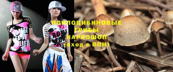винт Пересвет