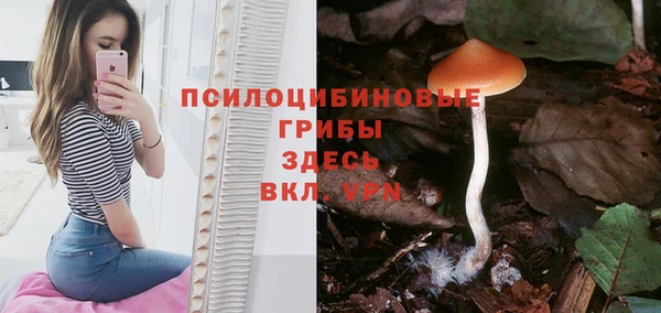 гашик Бородино