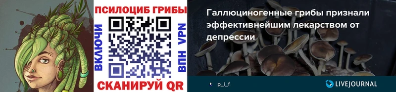 Галлюциногенные грибы Cubensis Гвардейск